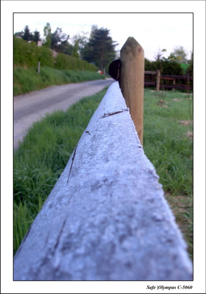 2006 - 05 - Macro 06